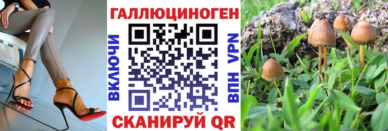 Псилоцибиновые грибы прущие грибы  omg ONION  Гулькевичи  где купить наркоту 