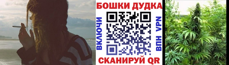 Конопля Bruce Banner  Гулькевичи 